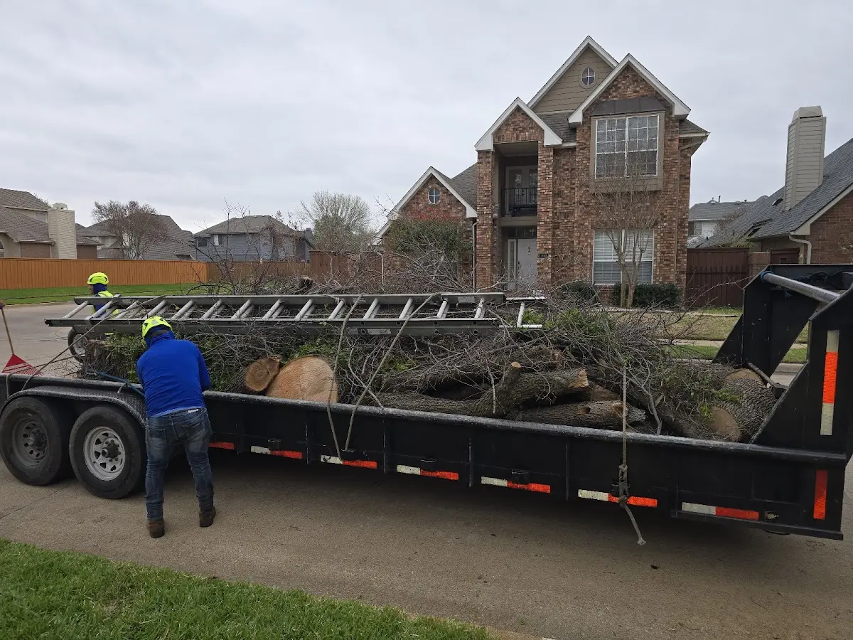 Expert Tree Fertilization with proper safety equipment in West Sunbury
